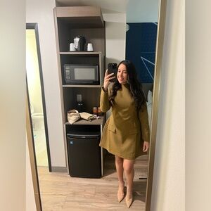 The Ultimate Muse Olive Mini Dress